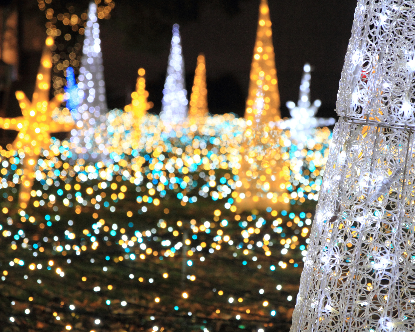 Illuminations nocturnes